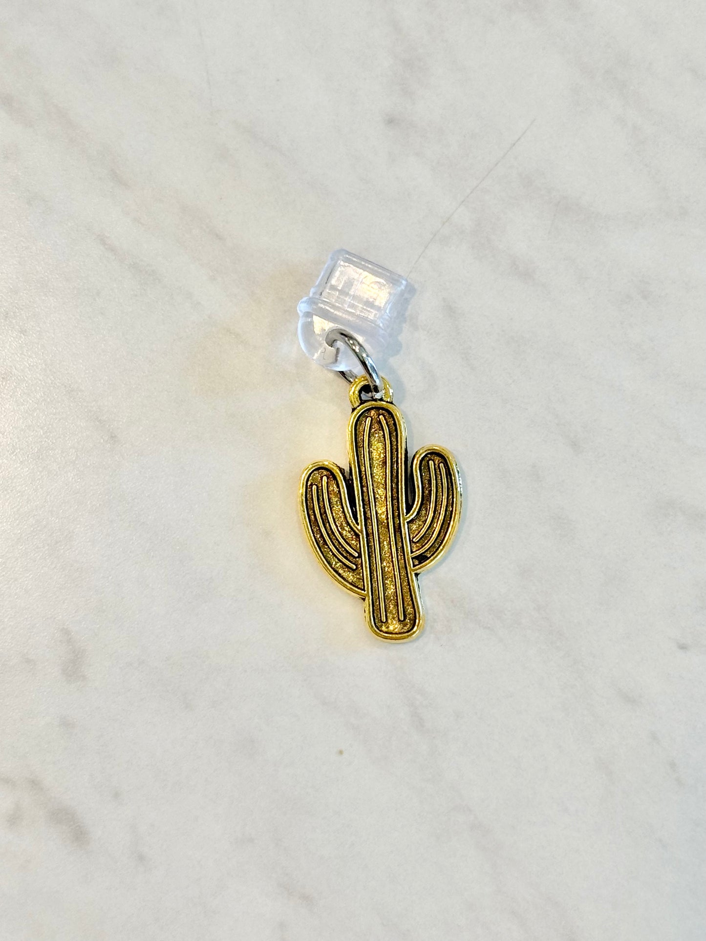 Cactus - Dust Plugs